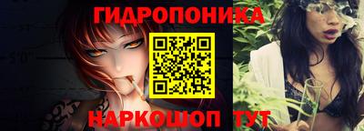 индика Дубна