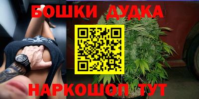 гидра Донской