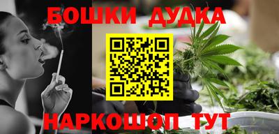 индика Дубна
