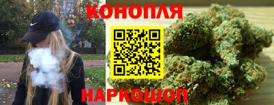 амф Камышлов