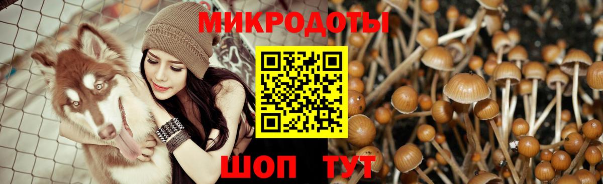 Галлюциногенные грибы мухоморы Новокуйбышевск